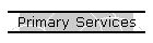 Primary Services