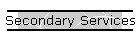Secondary Services